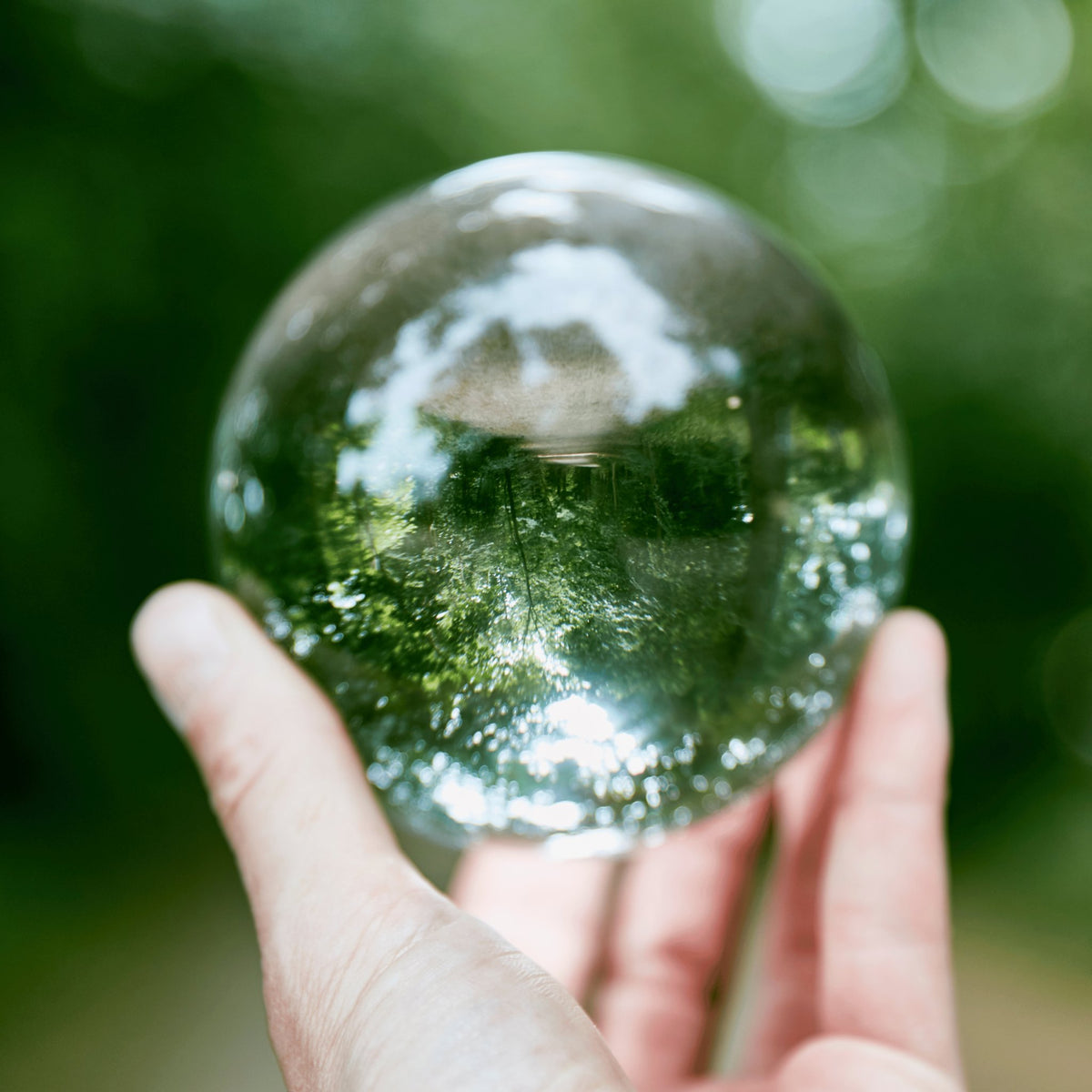 La magia dei profumi naturali: un viaggio sensoriale