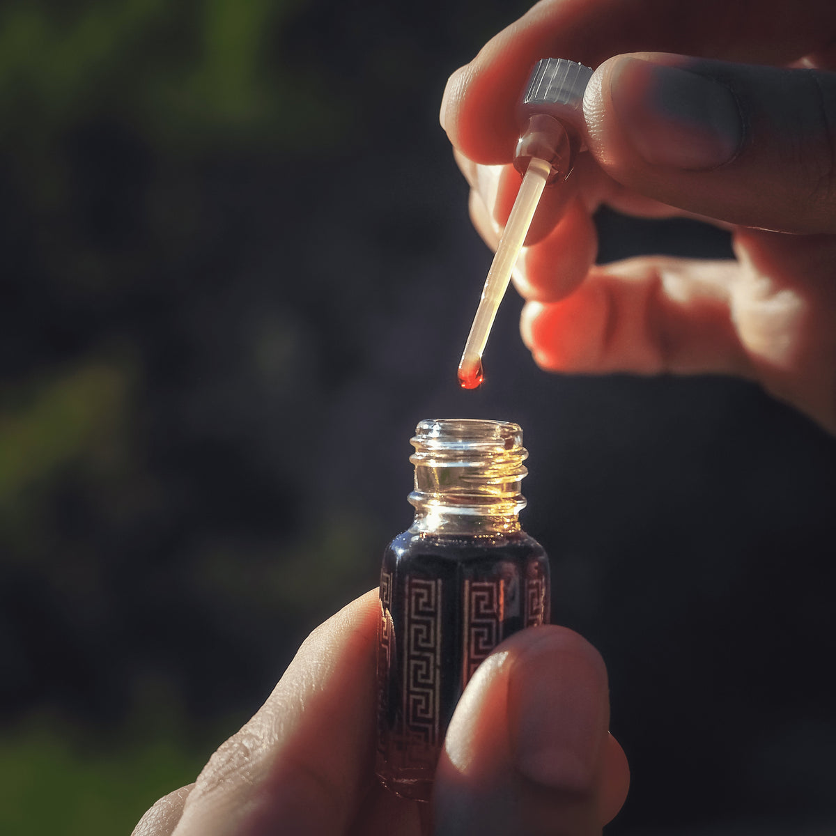 Huiles de oud et essences boisées