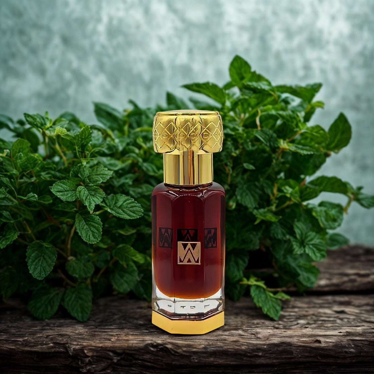 Patchouli - Indonésie