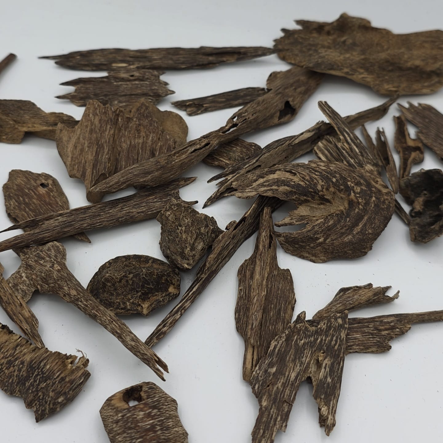 bois de oud qmari kalimantan double