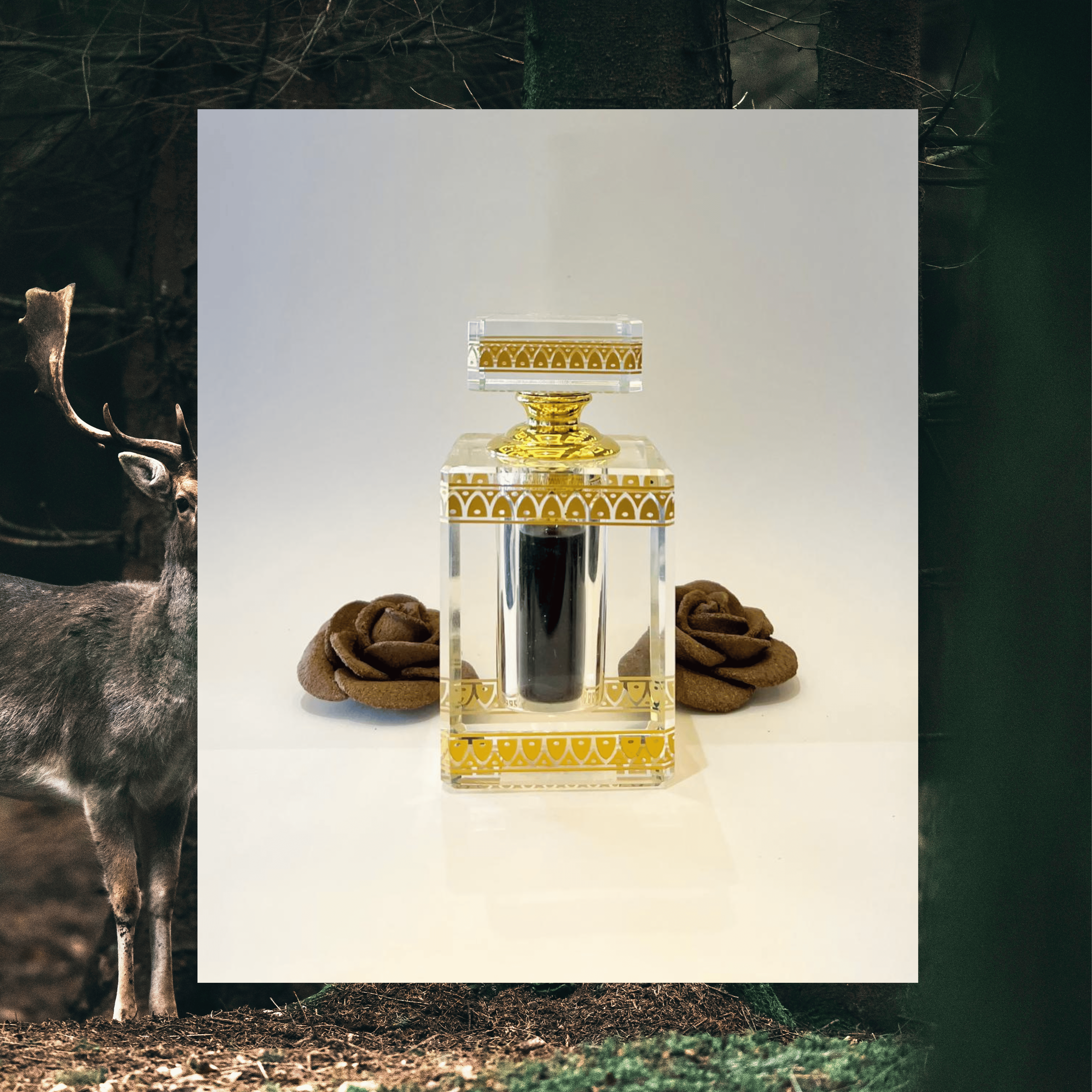 Musk Ghazal Deer Musk