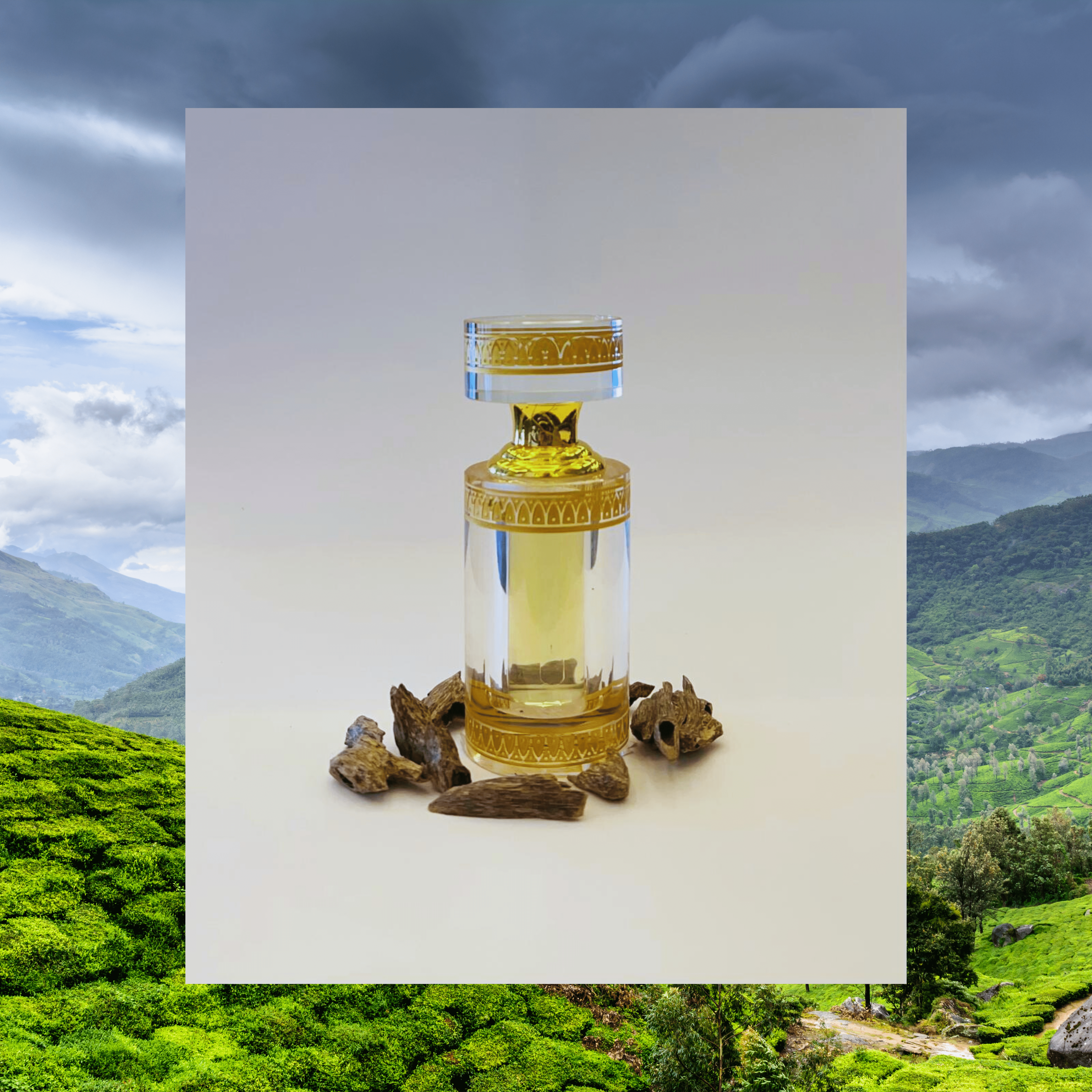 parfum pur oud qmari hindi white oud
