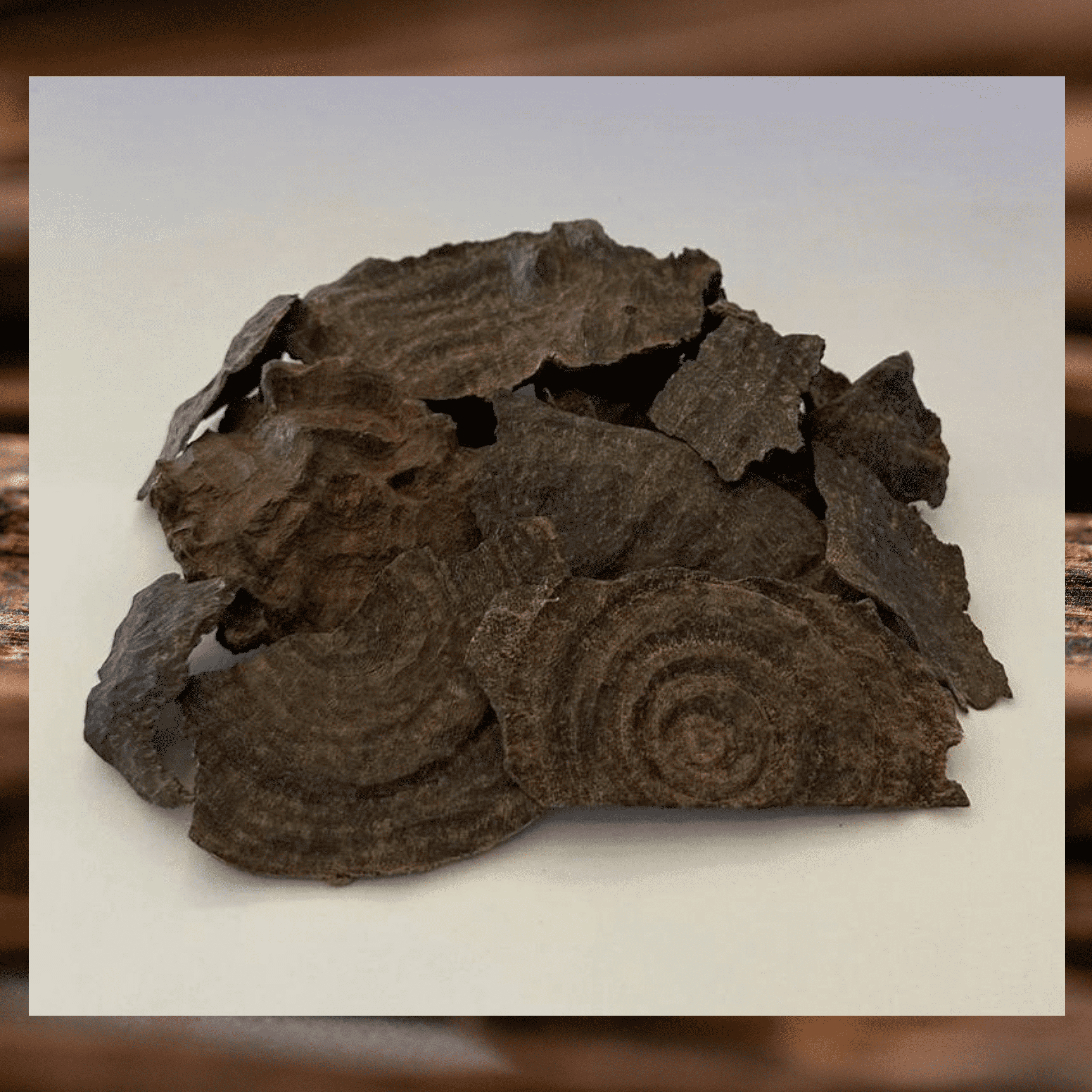 oud qmari d'inde