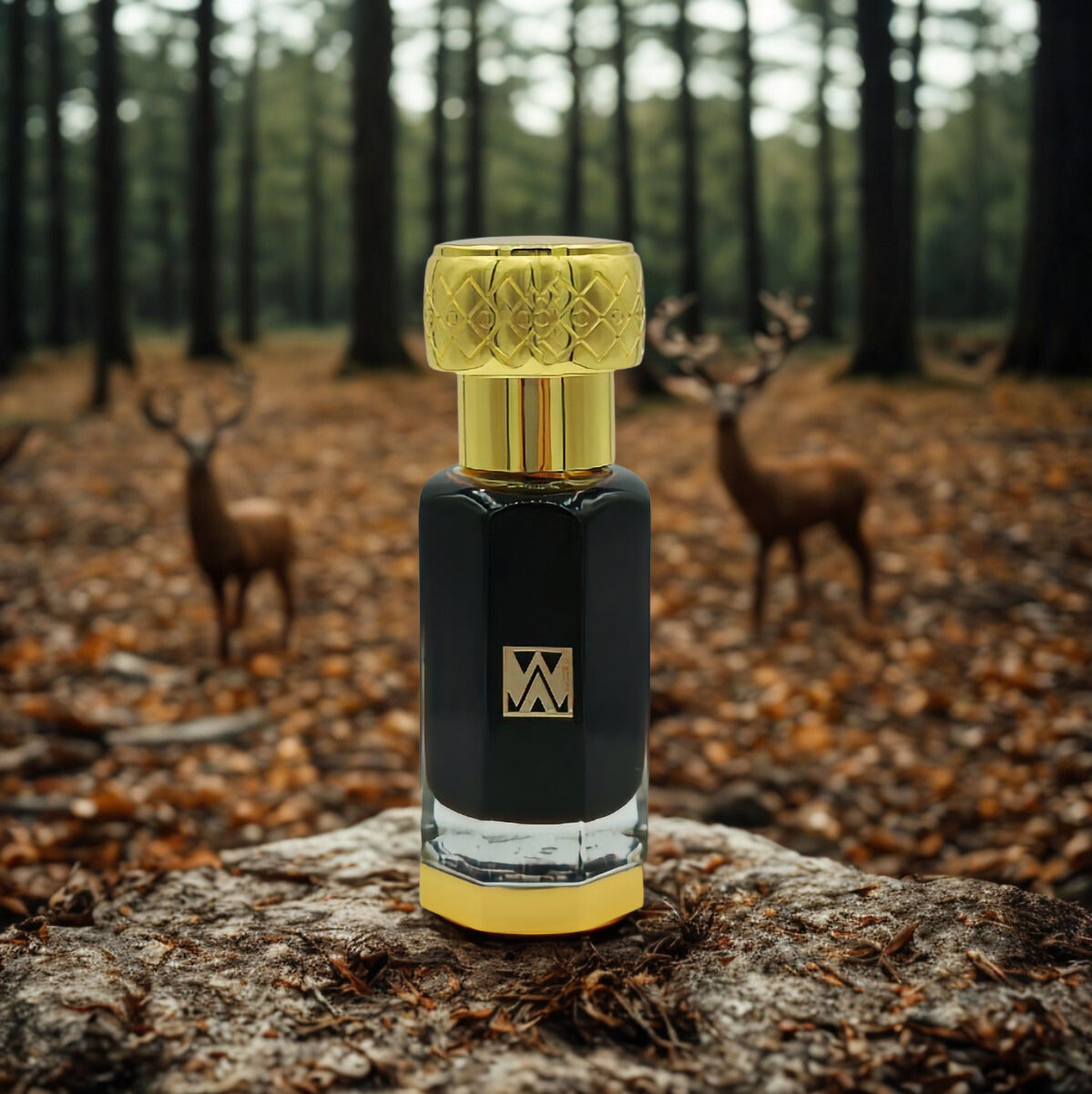 Musk Ghazal - Népal