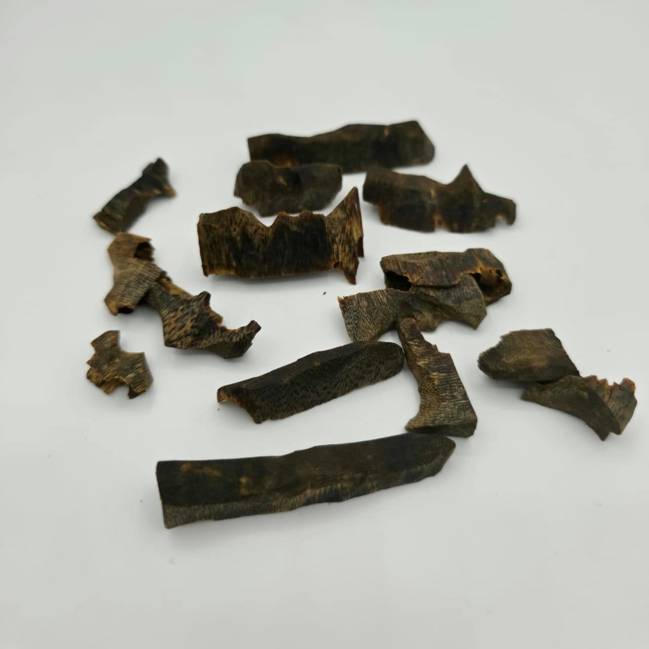 Kynam Underwater Hainan