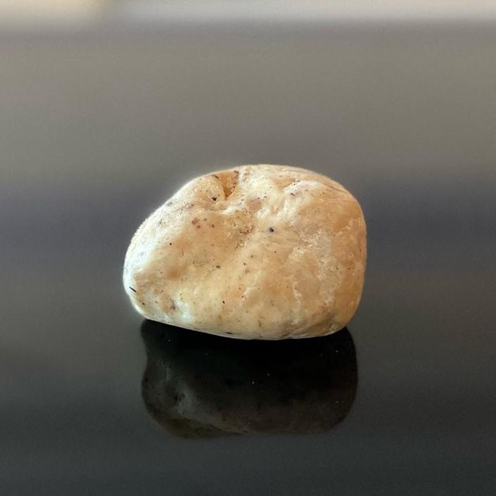 ambre gris blanc