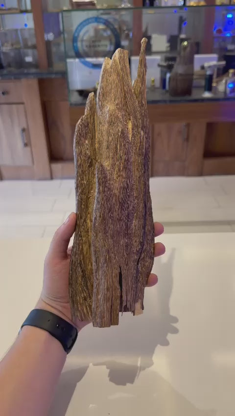 piece unique oud qmari du laos 100g