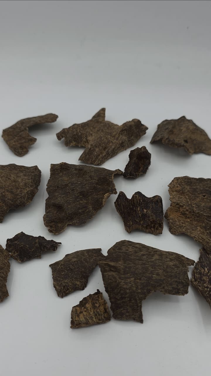 Char VIP Oud Qmari Cambodge