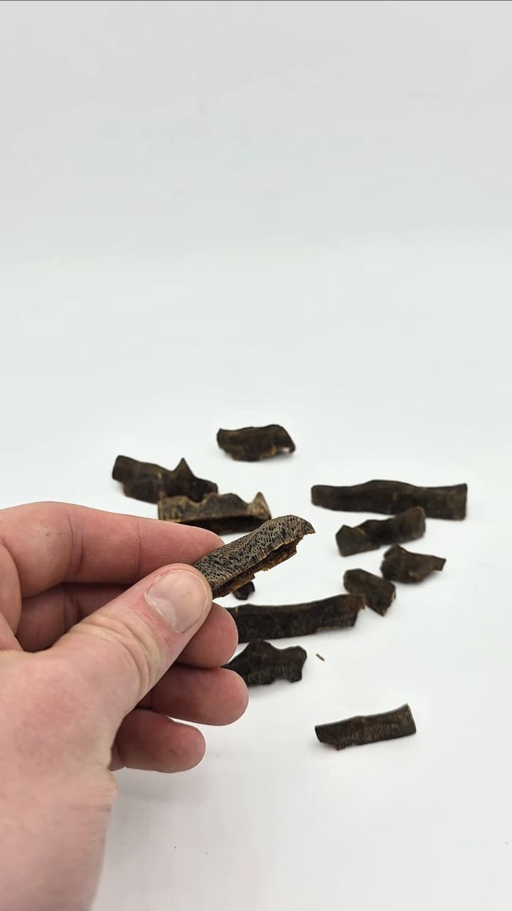 Kynam Underwater Hainan chine